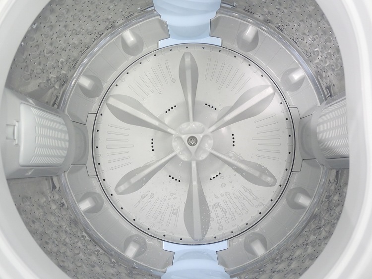 �����ꥹ���������/2023ǯ��/8kg/����ư������/IAW-T804E