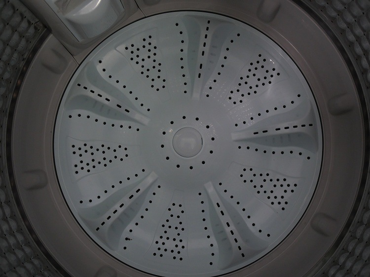 ELSONIC��/2019ǯ��/5.5kg/����ư������/EH-L55DDS2