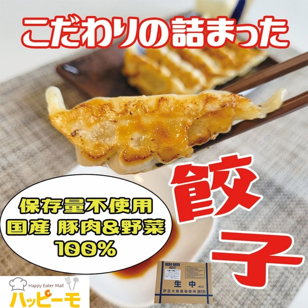 ケンちゃん餃子 冷凍生餃子 (中） 28ｇ×40個