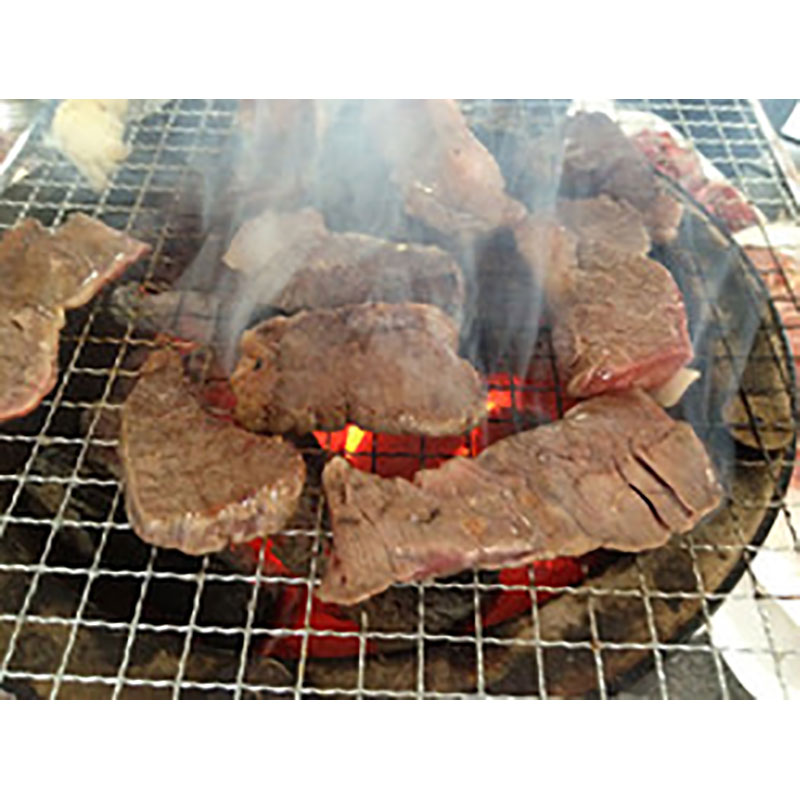 特選オガ炭 10kg