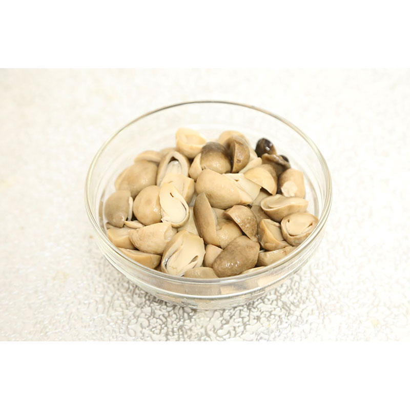 LANDSCAPE ストローマッシュルーム ハーフ 2号