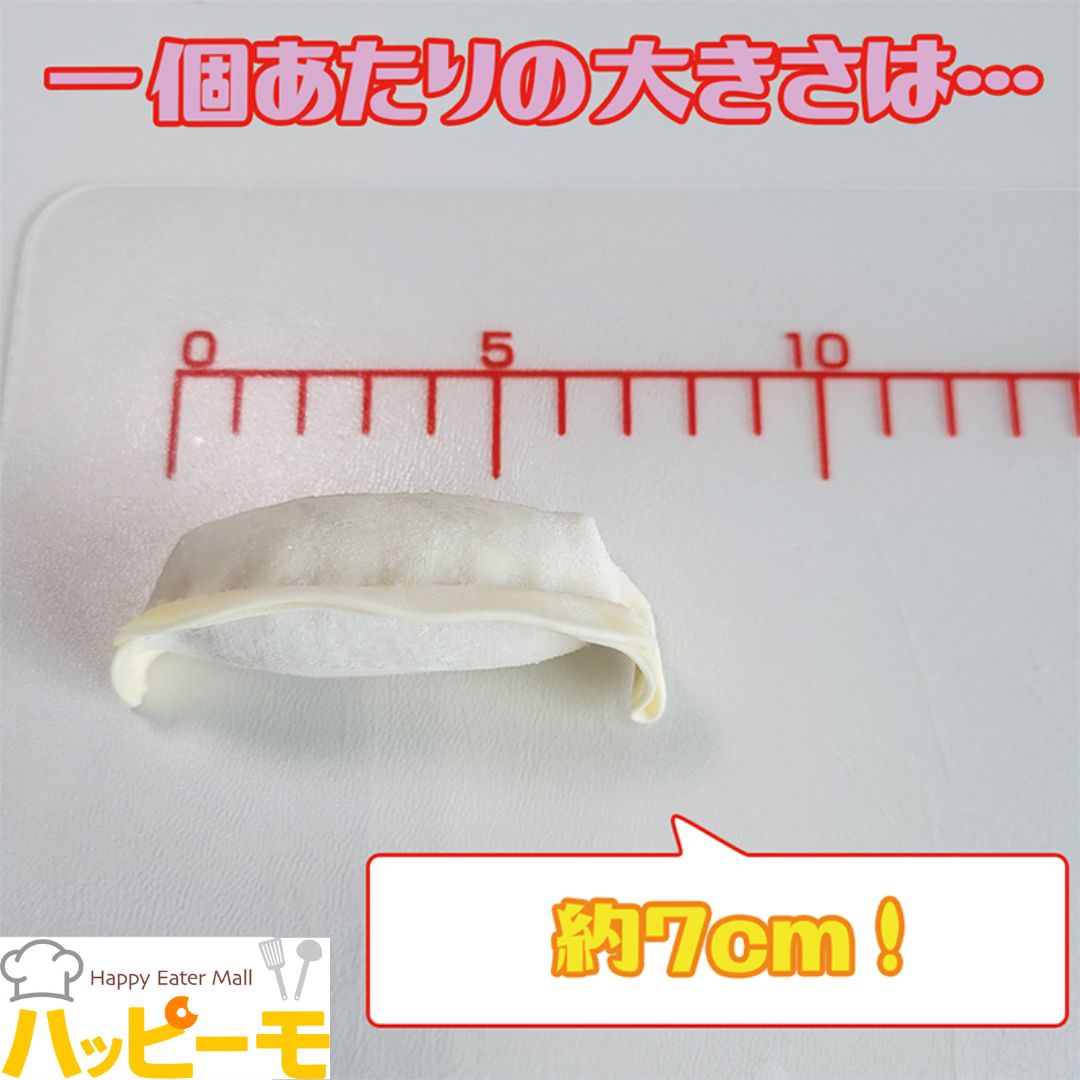 ケンちゃん餃子 冷凍生餃子 (中） 28ｇ×40個