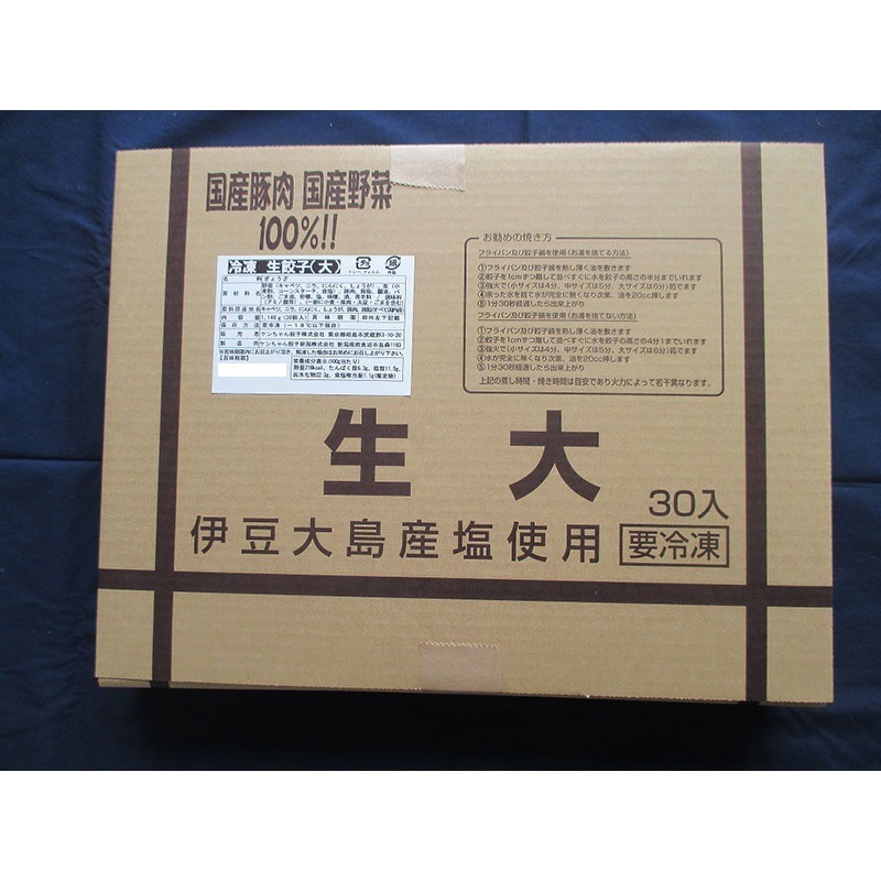 ケンちゃん餃子 冷凍生餃子 (大）38ｇ×30個
