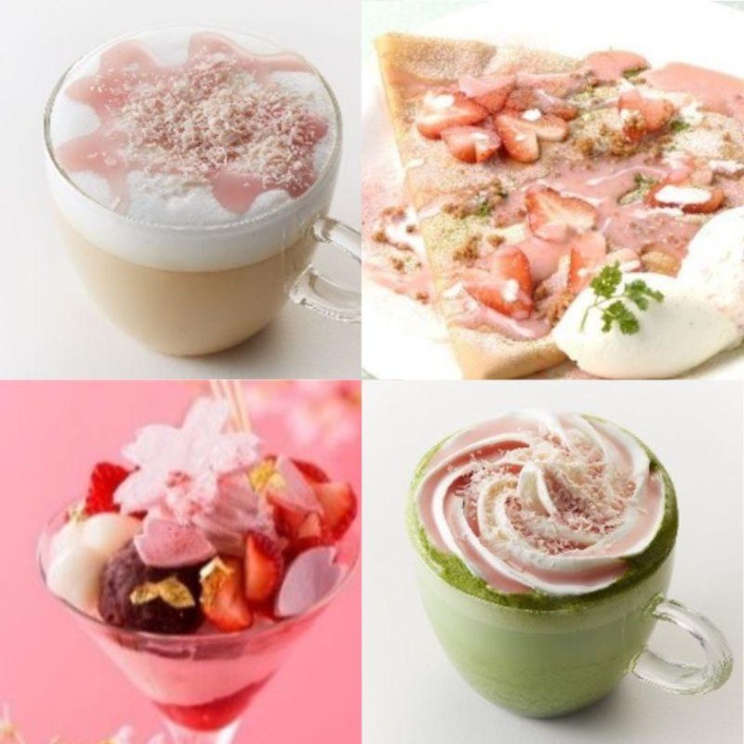 GS さくらソース  500ｇ