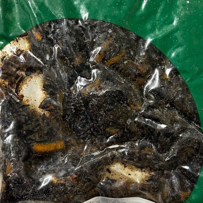 岩谷産業 フーズランド 和惣菜 五目ひじき煮 500g
