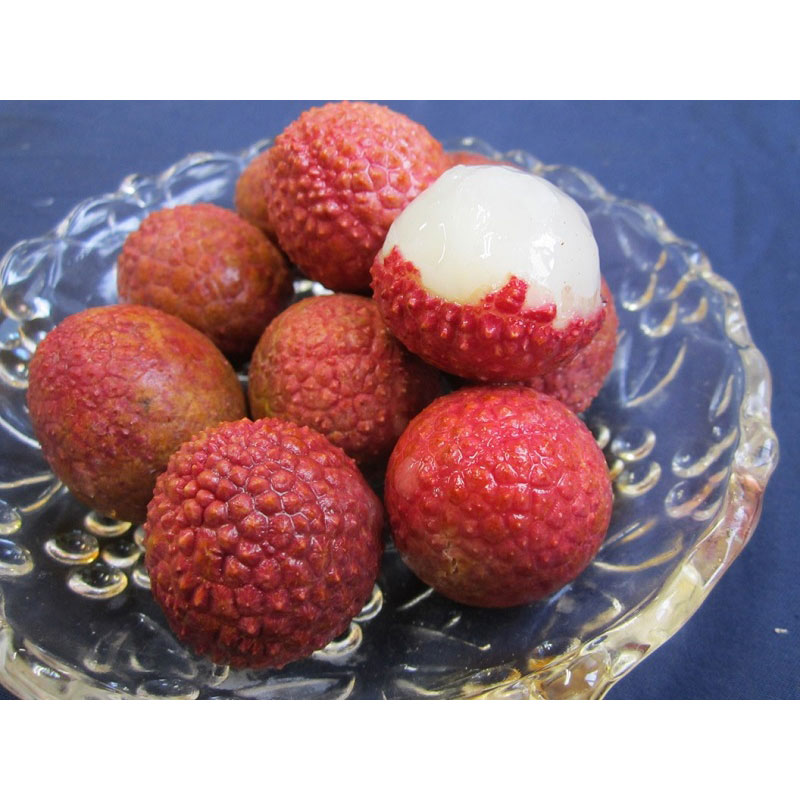 ライフ Yライチ 500g