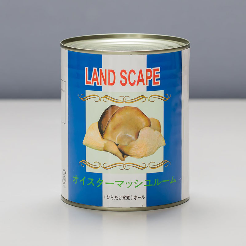 LANDSCAPE オイスターマッシュルーム 2号