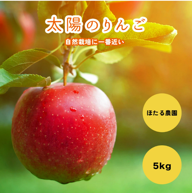 完売御礼【在庫限り】太陽のりんご 【5kg】 木村秋則さん推薦 ※12月