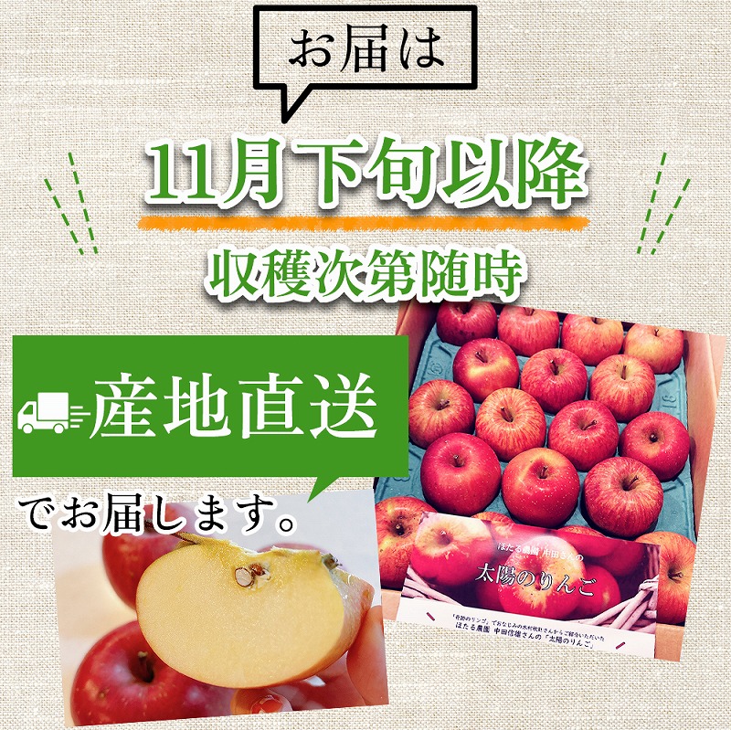 完売御礼【在庫限り】太陽のりんご 【5kg】 木村秋則さん推薦 ※12月