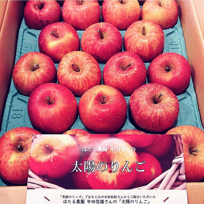 数量限定・受付再開【在庫限り】太陽のりんご 【5kg】 木村秋則さん
