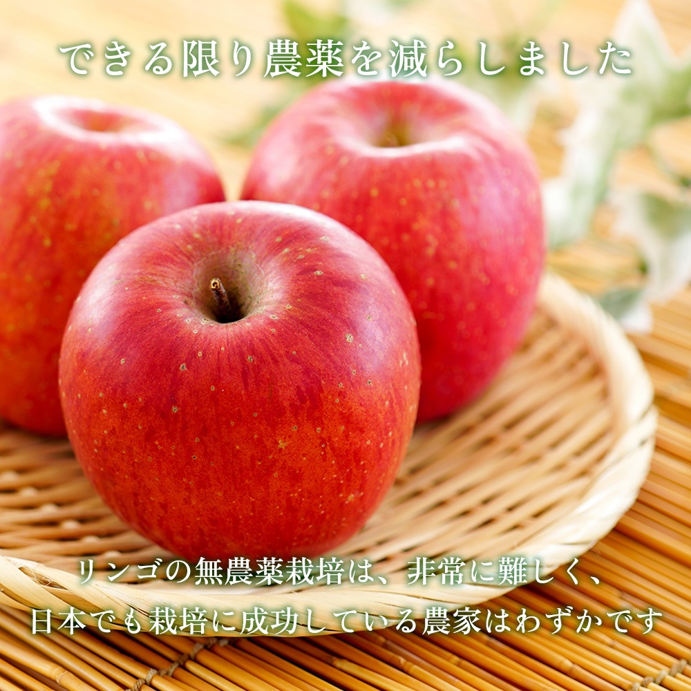 今季終了【在庫限り】太陽のりんご 【5kg】 木村秋則さん推薦