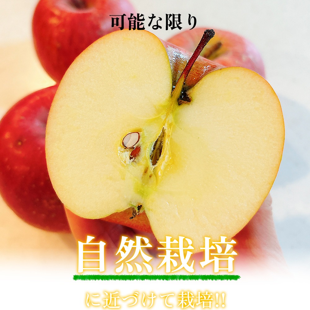 数量限定・受付再開【在庫限り】太陽のりんご 【5kg】 木村秋則さん