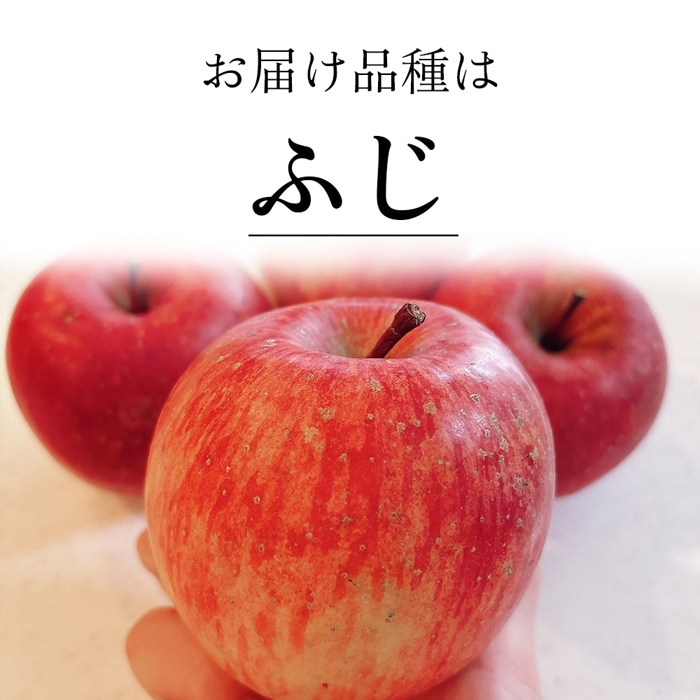 今季終了【在庫限り】太陽のりんご 【5kg】 木村秋則さん推薦