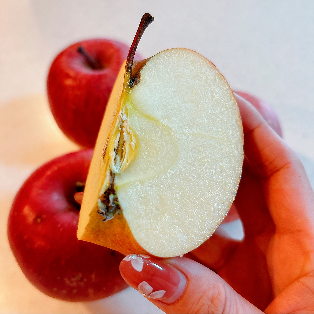 数量限定・受付再開【在庫限り】太陽のりんご 【5kg】 木村秋則さん