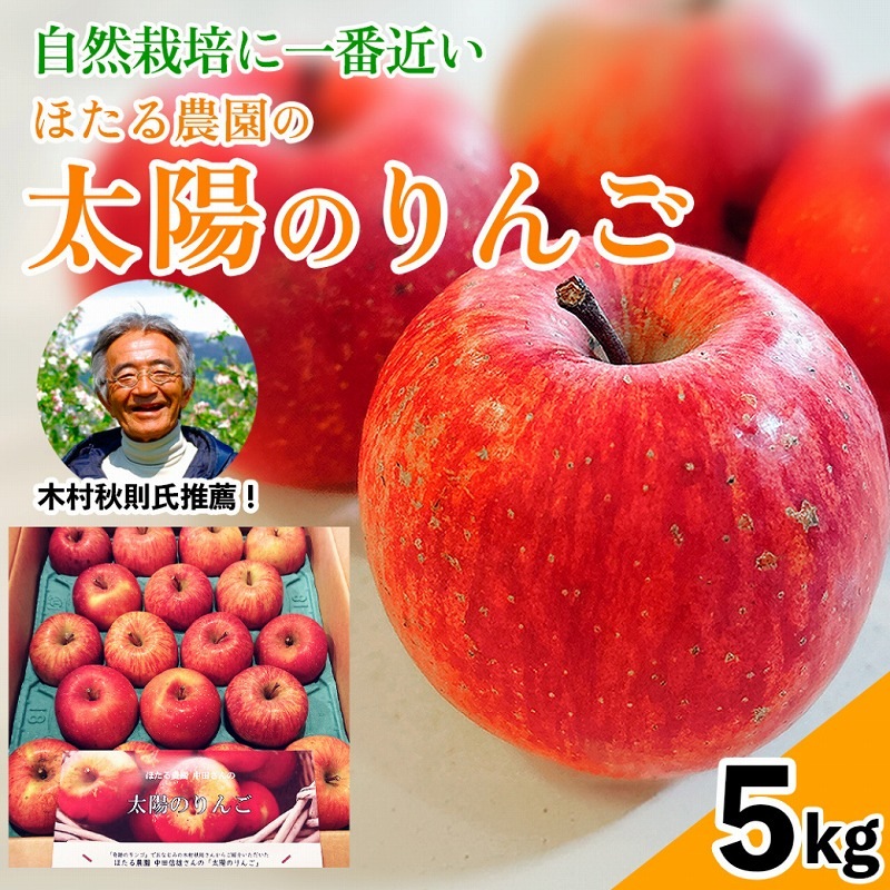 数量限定・受付再開【在庫限り】太陽のりんご 【5kg】 木村秋則さん