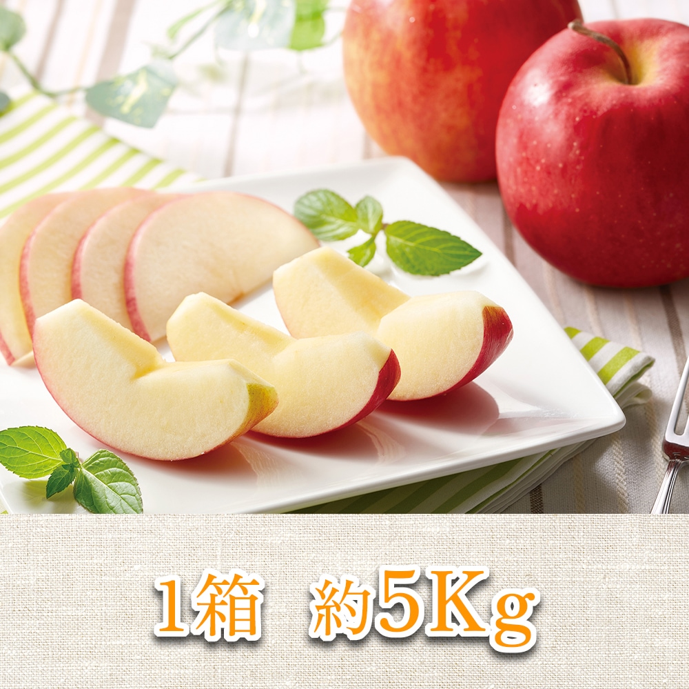 今季終了【在庫限り】太陽のりんご 【5kg】 木村秋則さん推薦