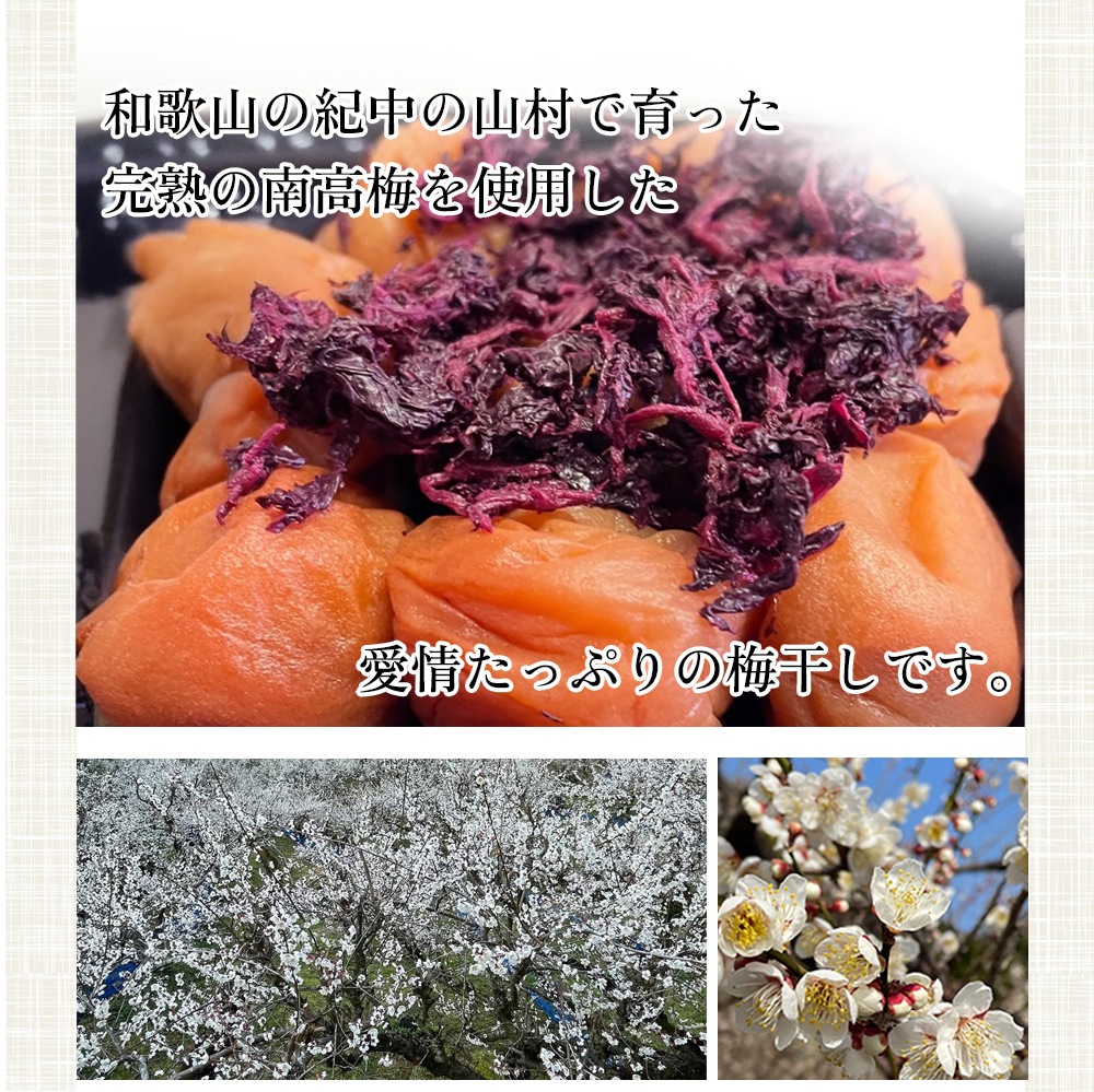 しそ仕込み完熟梅干 夏見さんち