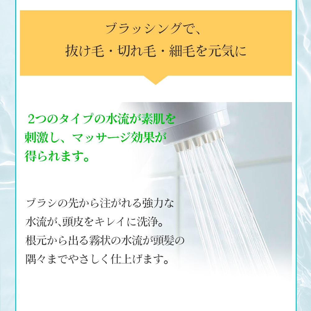 【値引】ガイアの水 浄水シャワー塩素除去で敏感肌さんも安心！お風呂が美活時間！ 値引】ガイアの水 浄水シャワー塩素除去で敏感肌さんも安心！お