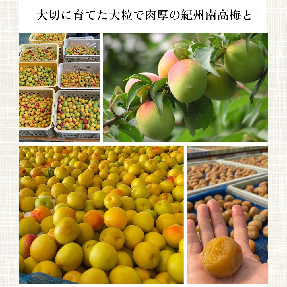 はちみつ入り南高梅 夏見さんち