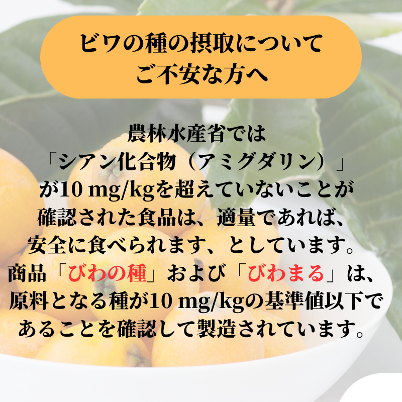 枇杷の種 粉末 ビワの種 びわの種 2袋 700g 国産 焙煎品 枇杷の種 粉末 ビワの種 びわの種 2袋 700g 国産 焙煎