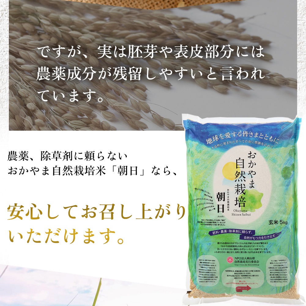 直送・定期宅配】おかやま自然栽培玄米「朝日」10キロ（5kg×2袋)