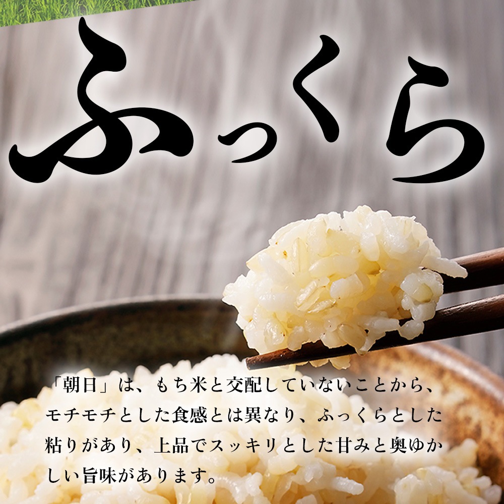 レンゲ米　朝日米玄米10キロ 2〜 「幻のお米 朝日米」 〜☆玄米／10kg (5kgを2個)〜 令和6年度