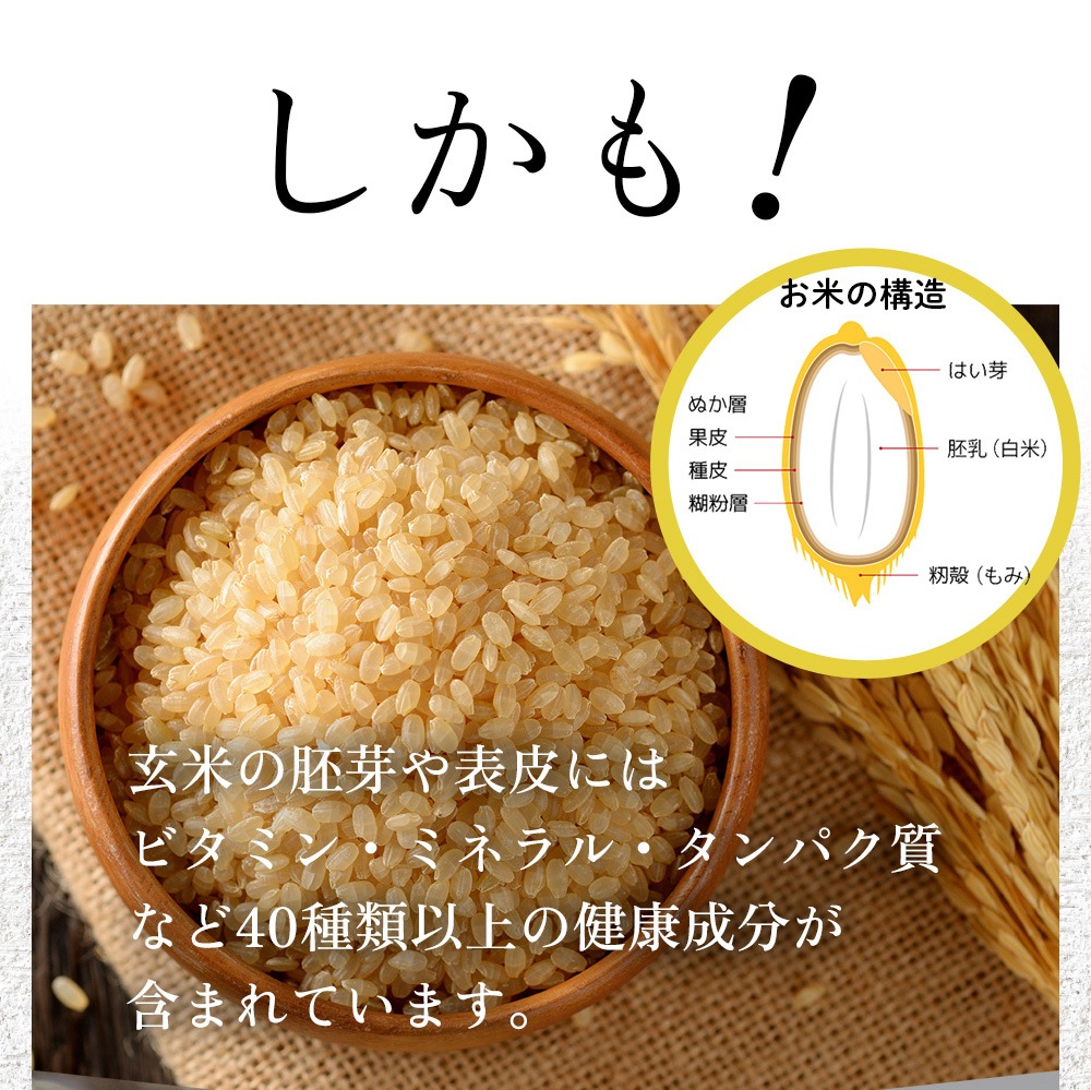レンゲ米　朝日米玄米10キロ 2〜 「幻のお米 朝日米」 〜☆玄米／10kg (5kgを2個)〜 令和6年度
