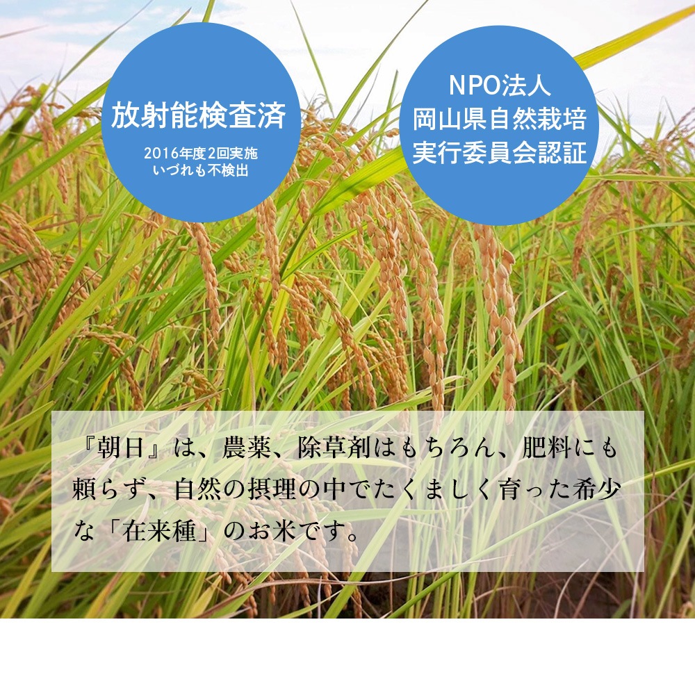 おかやま自然栽培、あさひ米、朝日、発芽玄米ごはん
