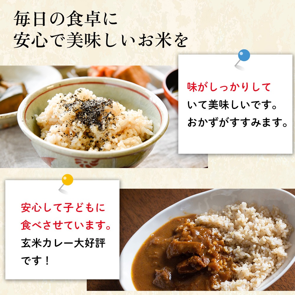 レンゲ米　朝日米玄米10キロ 2〜 「幻のお米 朝日米」 〜☆玄米／10kg (5kgを2個)〜 令和6年度