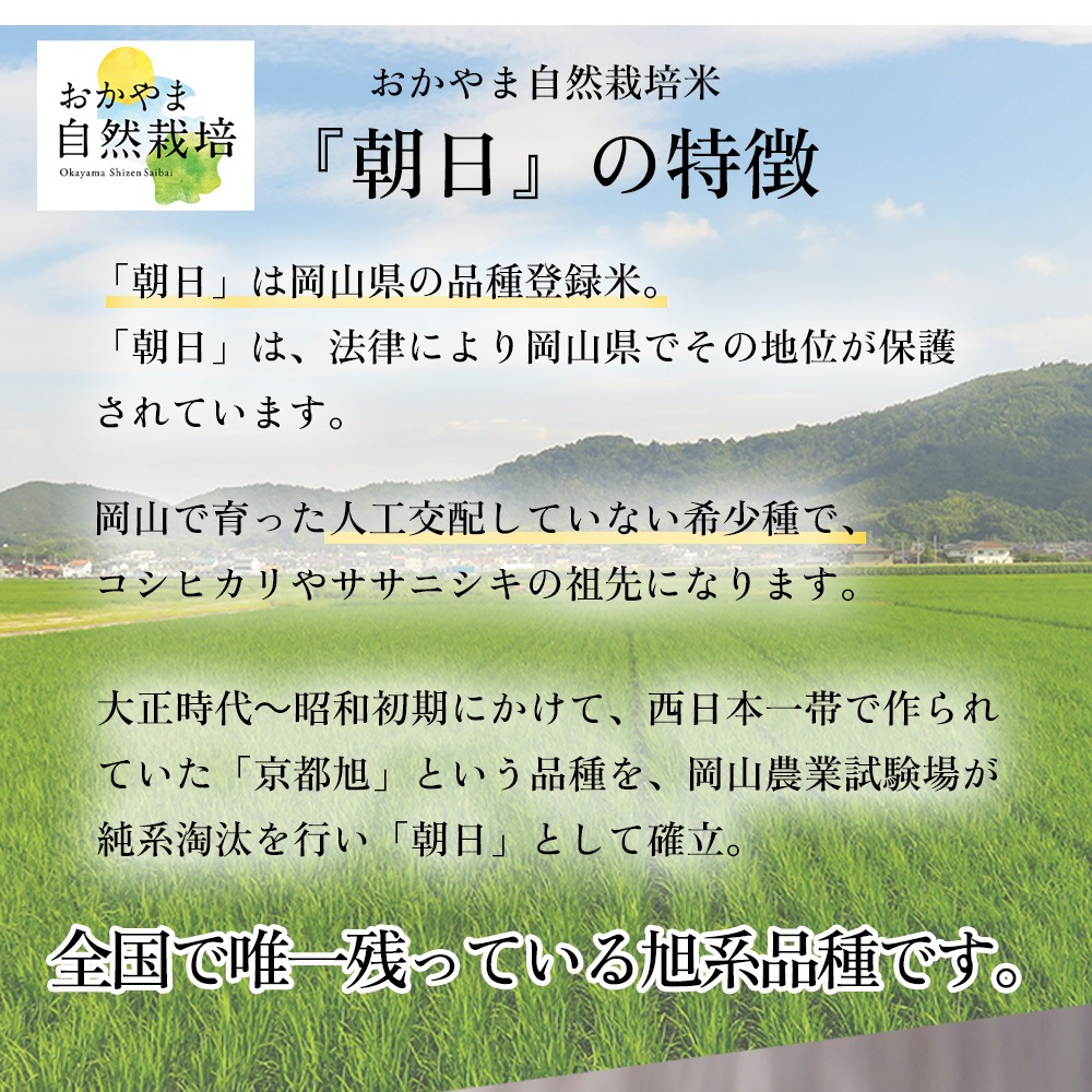 おかやま自然栽培、あさひ米、朝日、発芽玄米ごはん