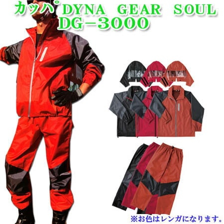 å 岼å DYNAGEAR SOUL ʥ DG-3000 ʥ FL 4L  #20231224