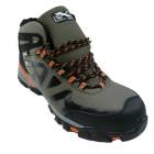 ������ �����٥å� XEBEC 85143 �ϥ����å� ������� 23.0��30.0cm