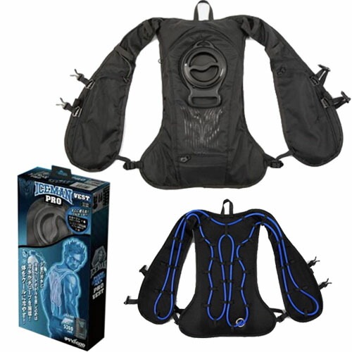  ٥ ICMP2-BLV-SET  Yamashin Seikyo ٥ȥץ ޥ2  ե꡼