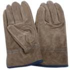 ׼ ׼깩˼  ˥ ֥饦 10 KS447 ͡