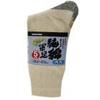 ��­ ��ݷ��� 5­�� ���ʷ�­ 25.0��27.0��� ����ѷ��� ���� �١������ 951