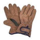 ׼ ׼깩˼ ζ˥ץ û KS862 10  ե꡼ ٥