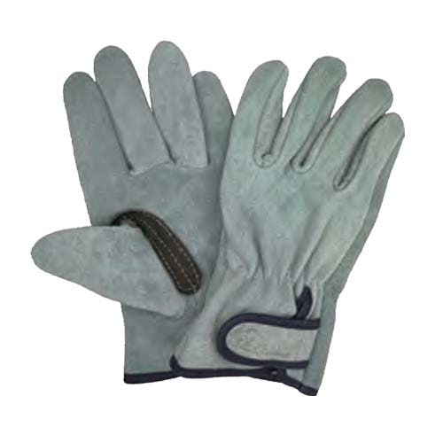 �׼��� �׼깩˼ ����ζ˥ץ� ��û�� KS864 10���� ������ �ե꡼ ���٥��