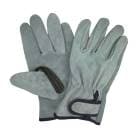 ׼ ׼깩˼ ζ˥ץ û KS864 10  ե꡼ ٥