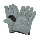 ׼ ׼깩˼ ζ˥ץ û KS464 1  ե꡼