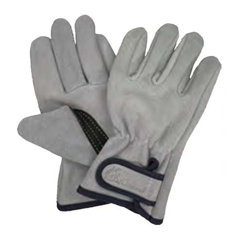 �׼��� �׼깩˼ ����ζ˥ץ� ��û�� KS863 1�� ������ �ե꡼ ���٥��