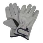 ׼ ׼깩˼ ζ˥ץ û KS863 1  ե꡼ ٥