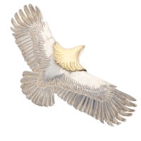 SALE祤 38.32g Ѵ ڼ谷ɥСŹ