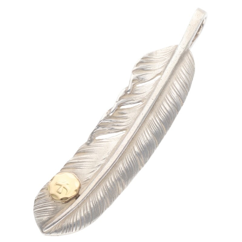 特大株　グレートホワイトシャーク　仔株3芽付 特大株 グレートホワイトシャーク 仔株3芽付