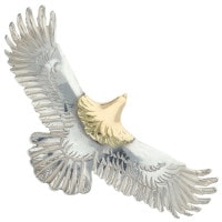 ���������� 14.01g �ڼ谷�����ɥ���С�Ź��