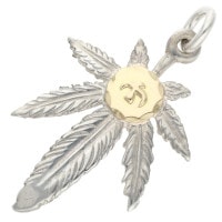 ��᥿���դ����饹�ڼ谷�����ɥ���С�Ź��