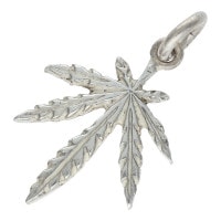 SV���饹 �� �ڼ谷�����ɥ���С�Ź��