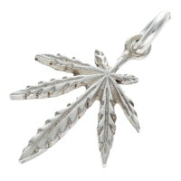 SV���饹 �� �ڼ谷�����ɥ���С�Ź��