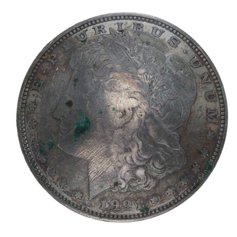 ��8/12�����٥�����23���ޤǡۥ����顼��륬�󥳥���� �٥���� �����ֹ�θ�ΰ١��ֶ��ݾڤʤ� �ڼ谷�����ɥ���С�Ź��