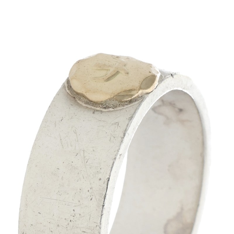 ʿ�Ǥ���� ��21��� �����Ѵ����� �ڼ谷�����ɥ���С�Ź��