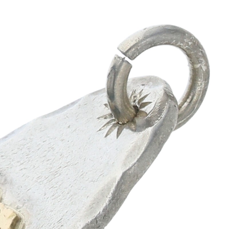 JADEX 公式アカウント 01メキシコ、カルロス４世夫妻特大銀メダル珍品 JADEX 公式アカウント 01様専用メキシコ、カルロス4世夫妻特大